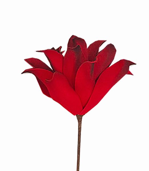 44698272-f011-4460-abb3-32bbc89634b0