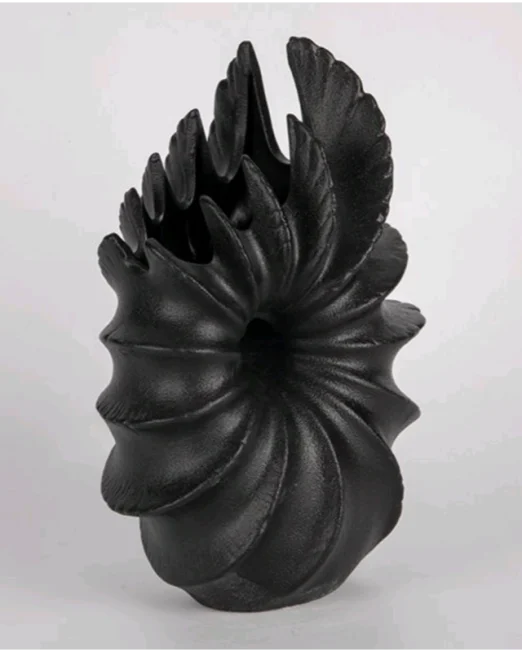 1000139065 (1)